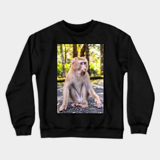 Monkey squating at Kao Yai national park Crewneck Sweatshirt